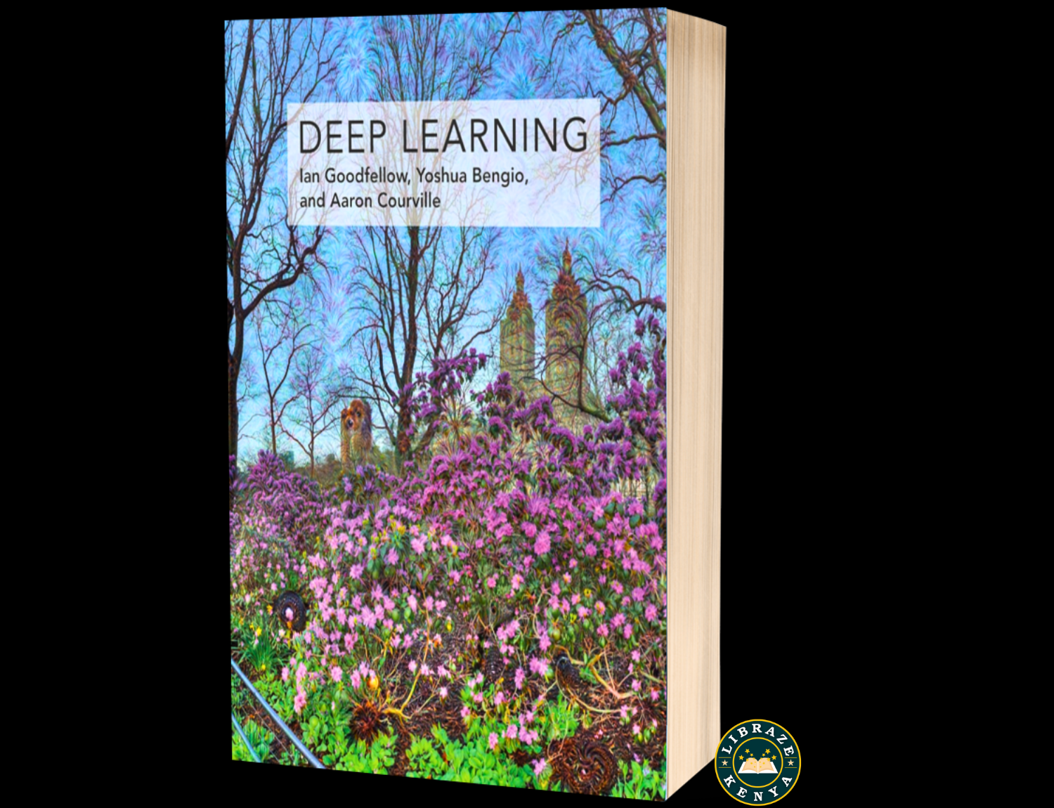 Deep Learning (Adaptive Computation and Machine Learning series) by Ian Goodfellow , Yoshua Bengio & Aaron Courville